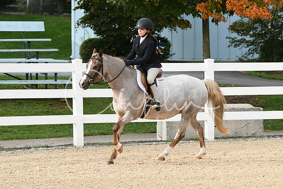 HSM_4418