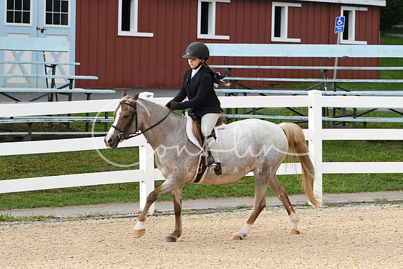 HSM_4419