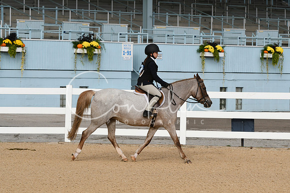 HSM_4431