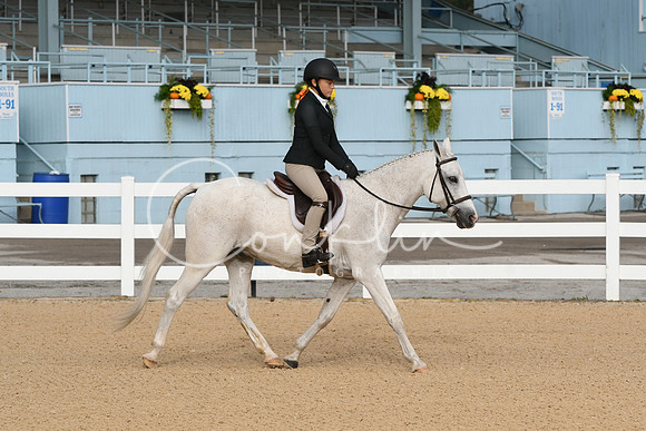 HSM_4437