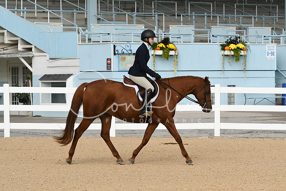 HSM_4439