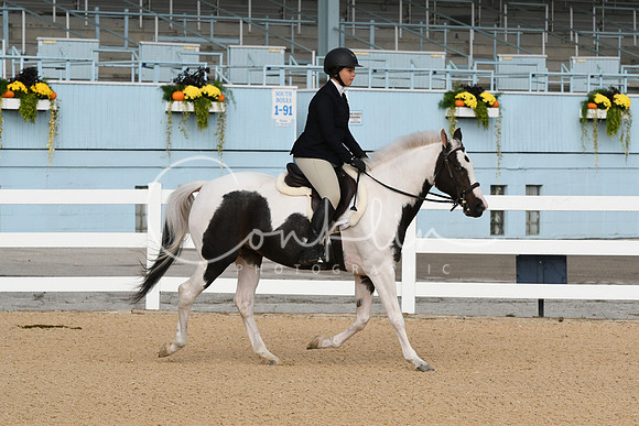 HSM_4441