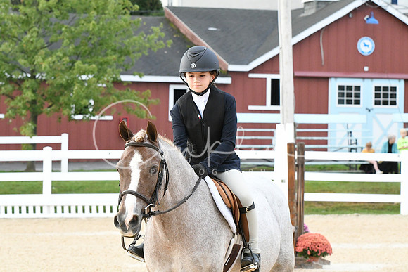 HSM_4468