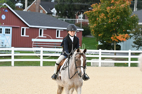 HSM_4469