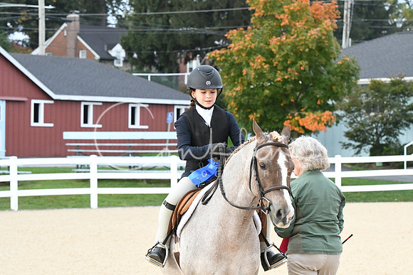 HSM_4470