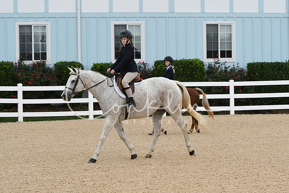 HSM_4541