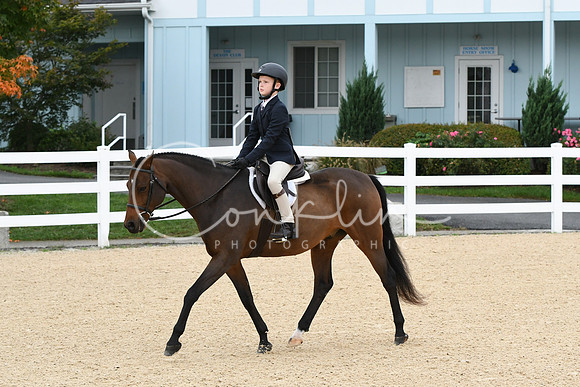 HSM_4571