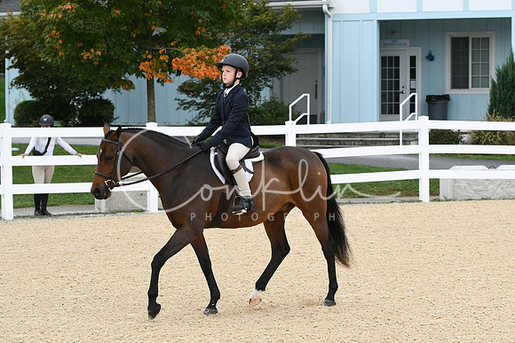 HSM_4572