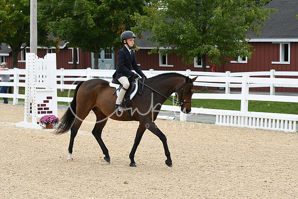 HSM_4576