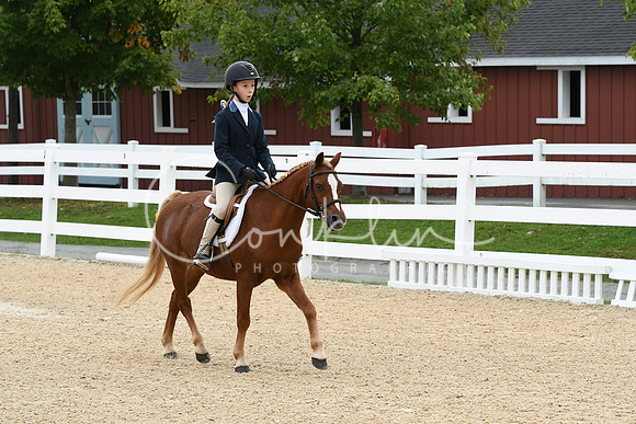 HSM_4589