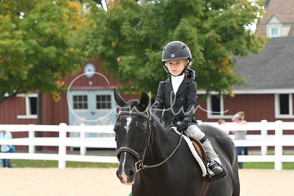 HSM_4608