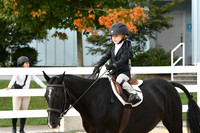HSM_4631