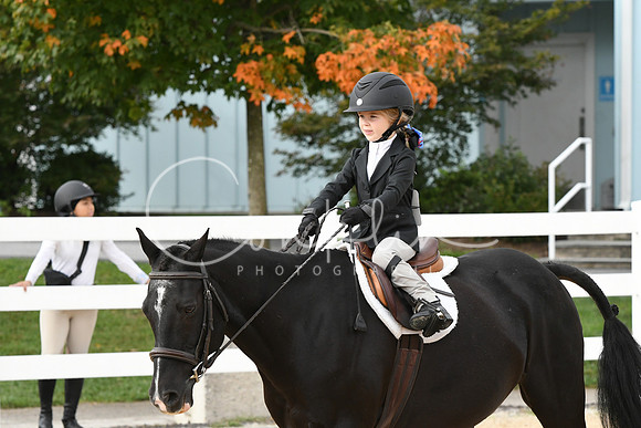 HSM_4631