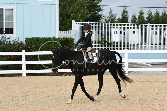 HSM_4643