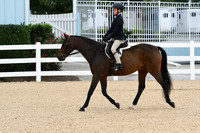 HSM_4719