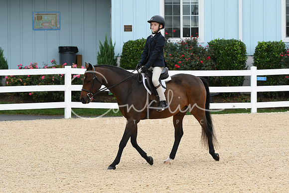 HSM_4721