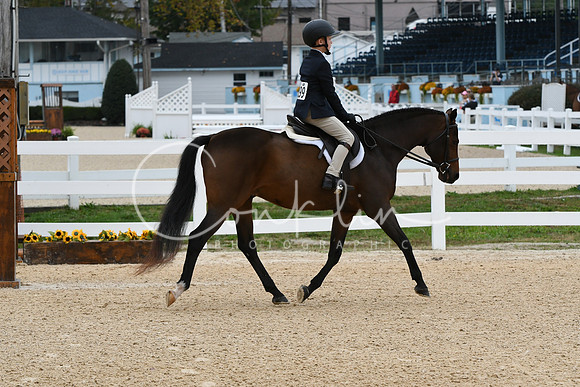 HSM_4729