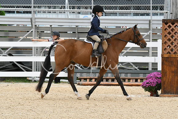 HSM_4736