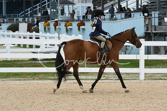 HSM_4738