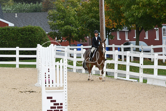 HSM_4929