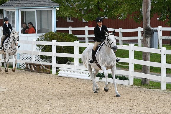 HSM_4933