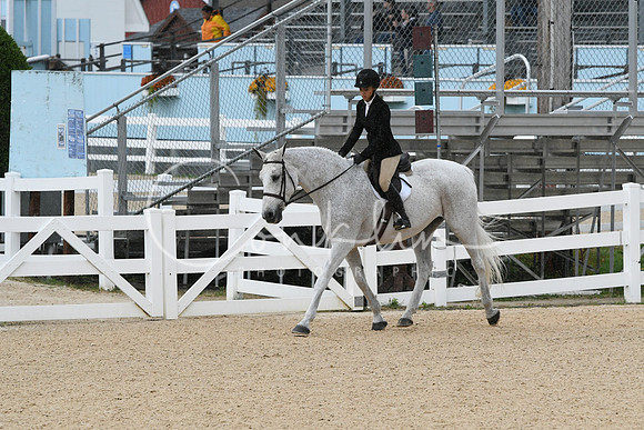 HSM_4919