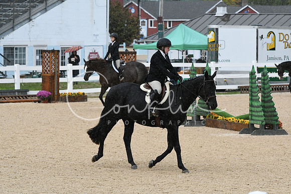 HSM_4921