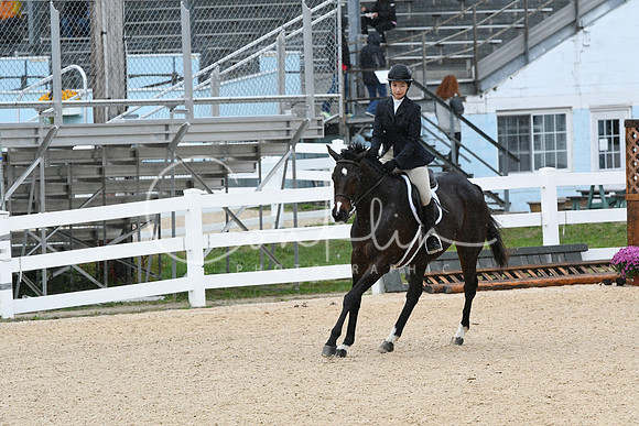 HSM_4923