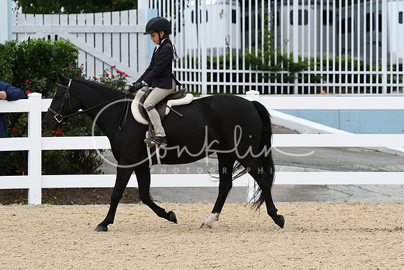 HSM_5136