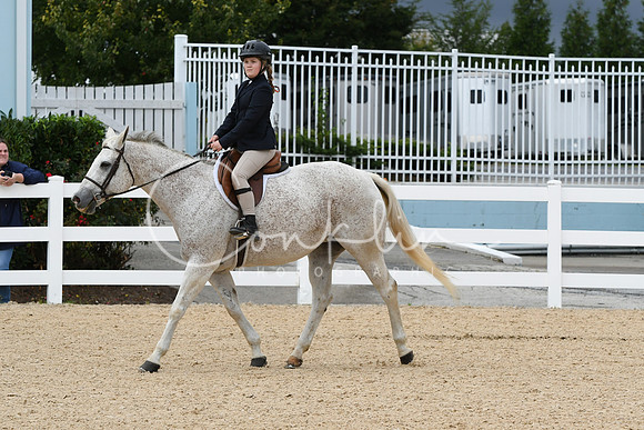HSM_5138