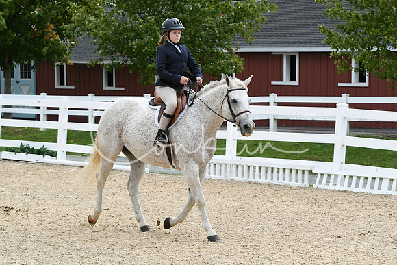 HSM_5146
