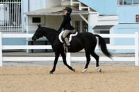 HSM_5196
