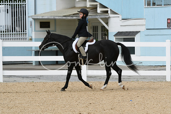 HSM_5196