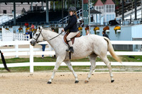 HSM_5198