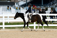 HSM_5199