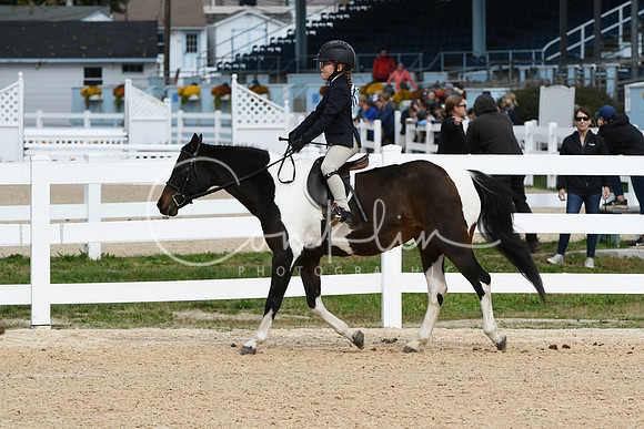 HSM_5199