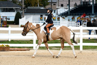HSM_5201