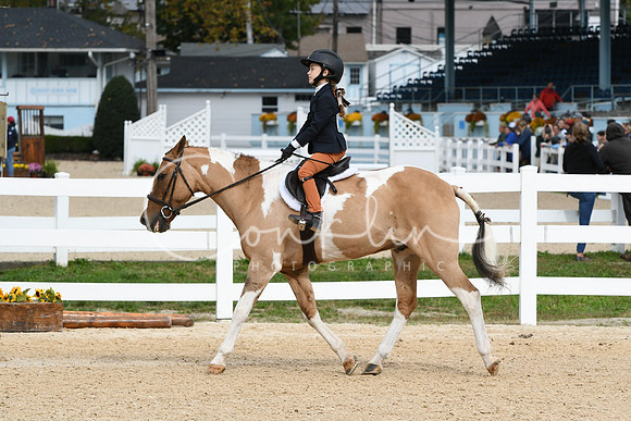 HSM_5201