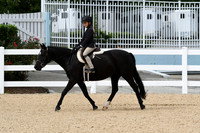 HSM_5208