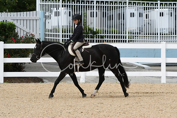 HSM_5208