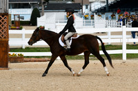HSM_5211