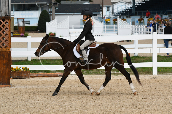 HSM_5211