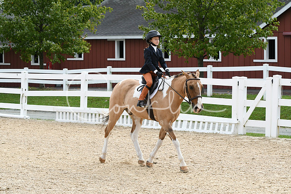 HSM_5216