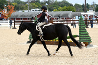 HSM_5217