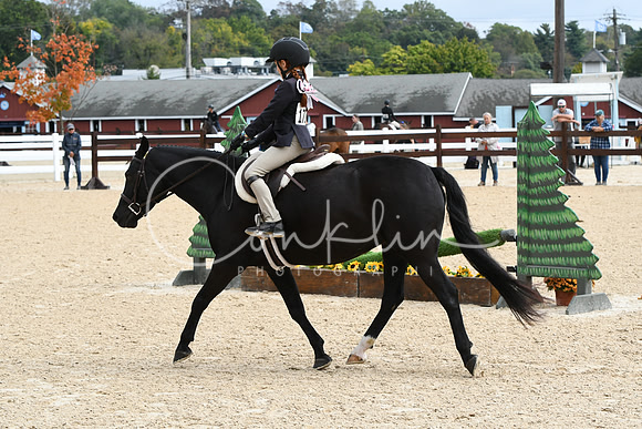 HSM_5217