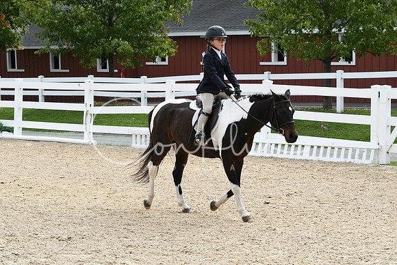 HSM_5218
