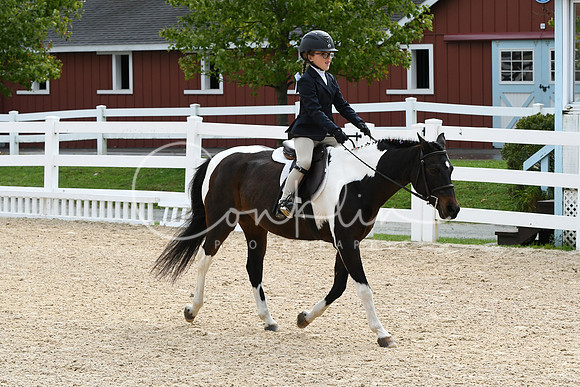 HSM_5219