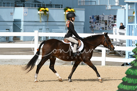 HSM_5229