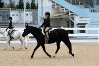 HSM_5393