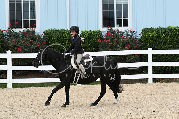 HSM_5478